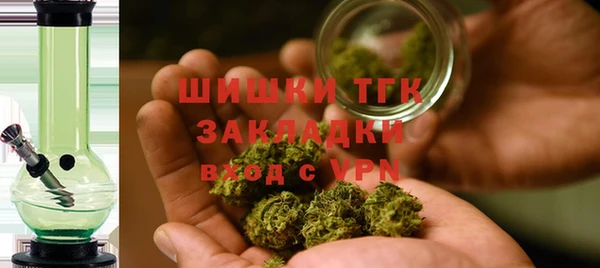 прущие грибы Волоколамск