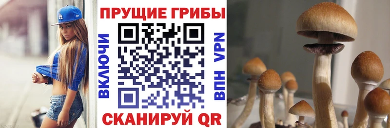 Псилоцибиновые грибы мухоморы  Гремячинск 